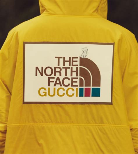 the north face gucci teddy|north face Gucci shop online.